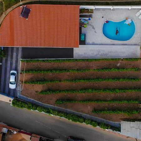 Casinha Das Bonecas - Casa Com Piscina Privada Авейру Экстерьер фото